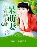 便宜酷少呆萌妻
