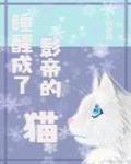 睡醒成了影帝的猫